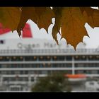 *+*Queen Mary 2 im herbstlichen Hamburg*+*