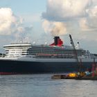 Queen Mary 2 passiert Finknwerder