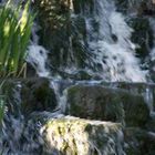 Queen Mary Rose Garden (Waterfall)