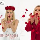 Queen of Roses