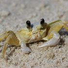 Queen of the beach!