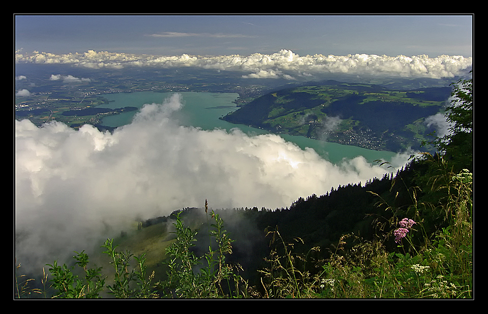 Queen of the Swiss Mountains