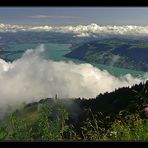 Queen of the Swiss Mountains