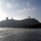 QUEEN VICTORIA im Morgennebel