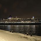 Queen Victoria wird eingedockt - Dock Elbe 17 am 03.12.2010