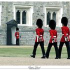 Queen's Guard