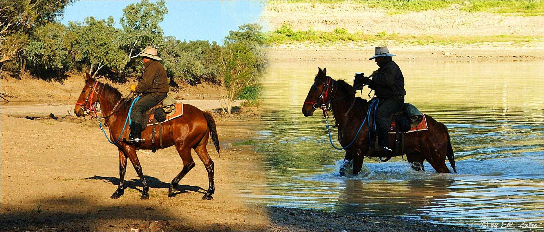 *** Queensland Ranger / at Cooper Creek ***