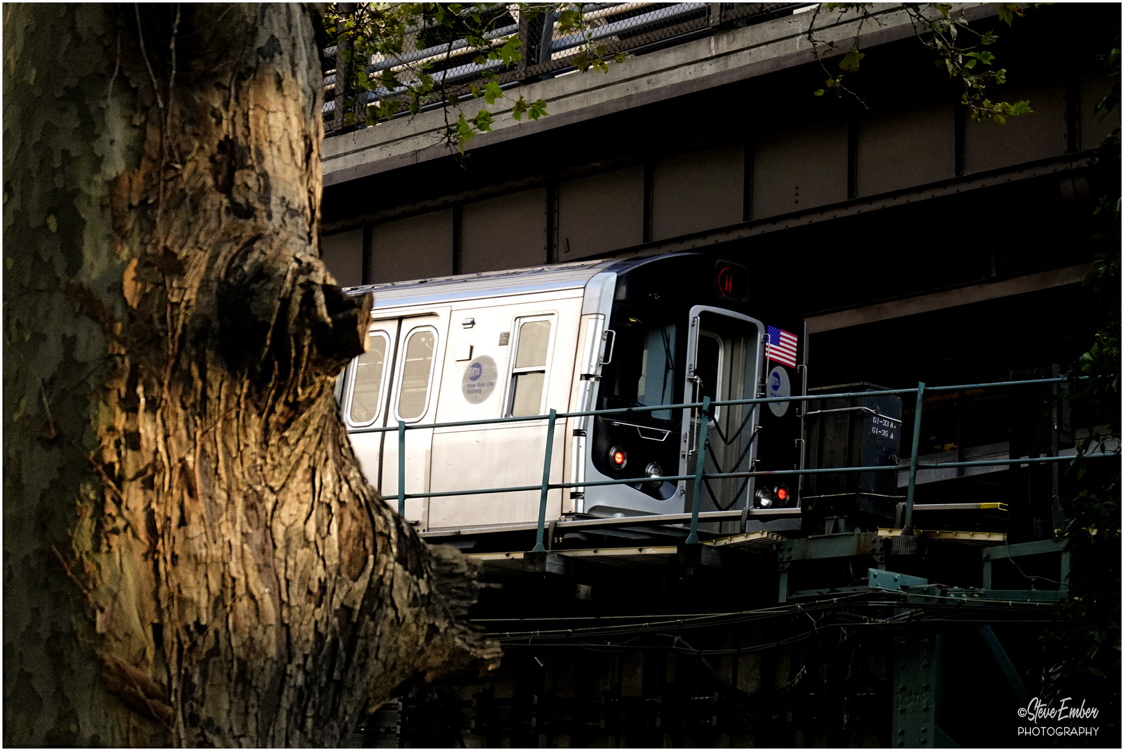 QueensScape No.8 - Tree + Train