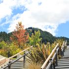 Queenstown Cable Car