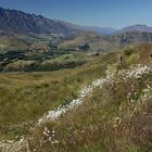 Queenstown - Kulisse - Lord of the Rings -