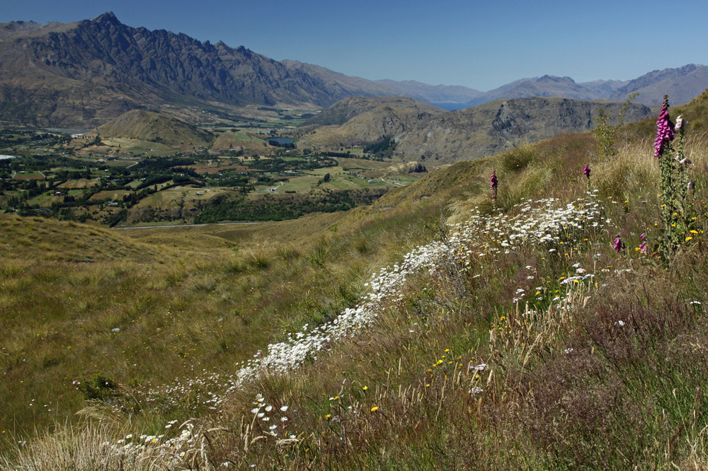 Queenstown - Kulisse - Lord of the Rings -