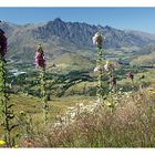 Queenstown - Lord of the Rings