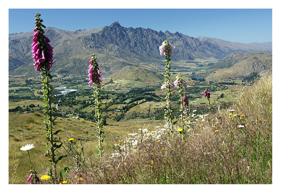 Queenstown - Lord of the Rings