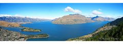 Queenstown Panorama