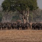 Queer durch das südliche Afrika. Nr.23