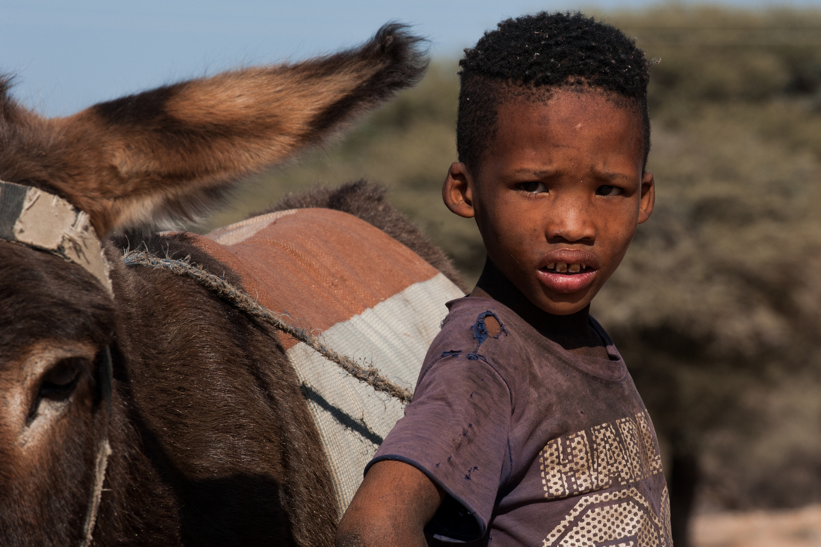 Queer durch das südliche Afrika. Nr.7