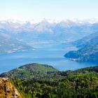 Quei rami del lago(di Como)