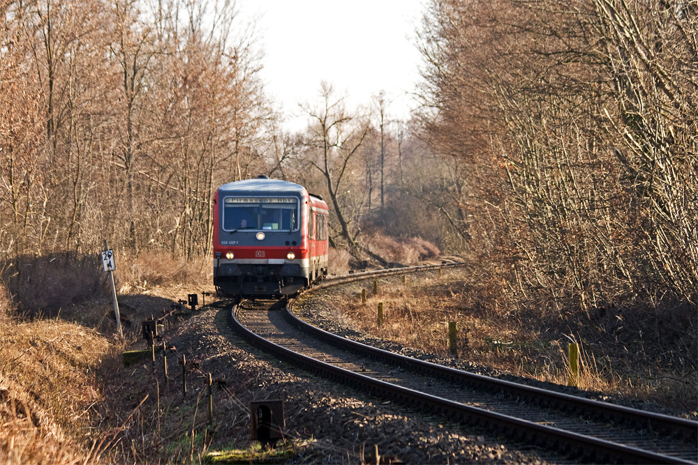 Queichtal im Januar (Nr.2)