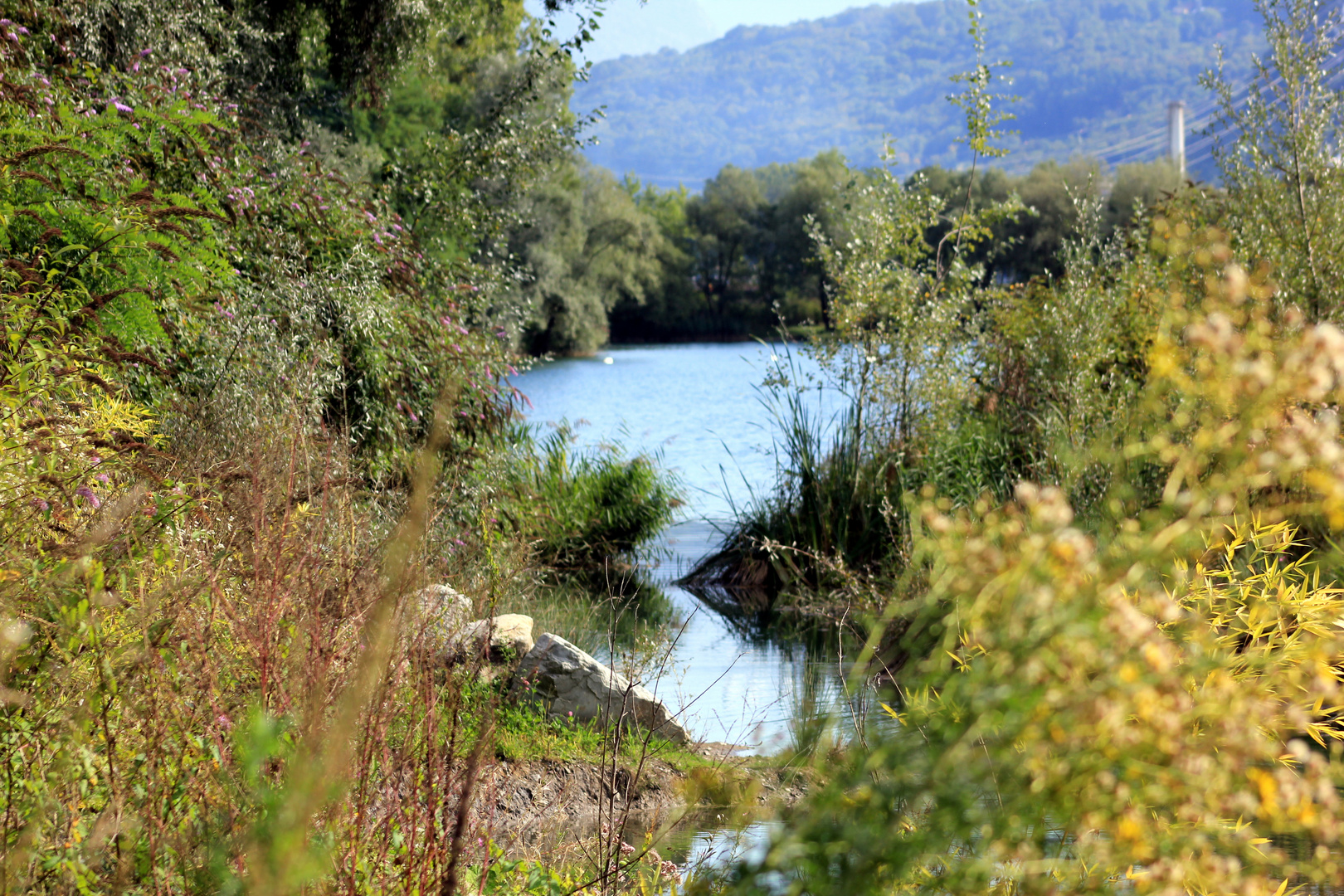 Quel Angolo del Lago