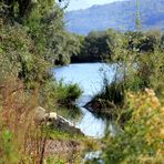 Quel Angolo del Lago