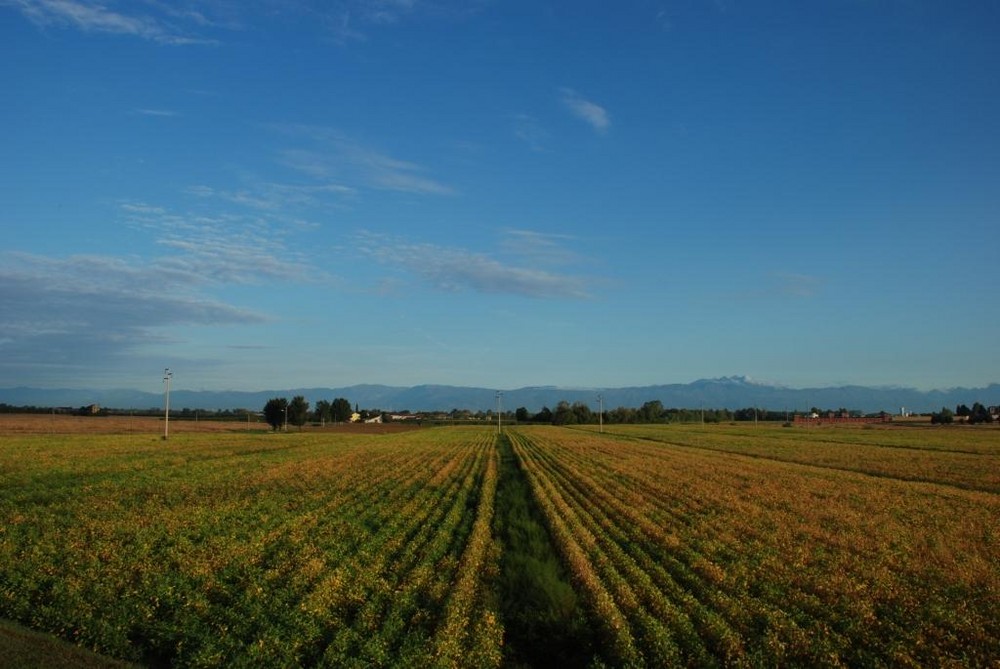 Quel che si vede dalla finestra di casa mia