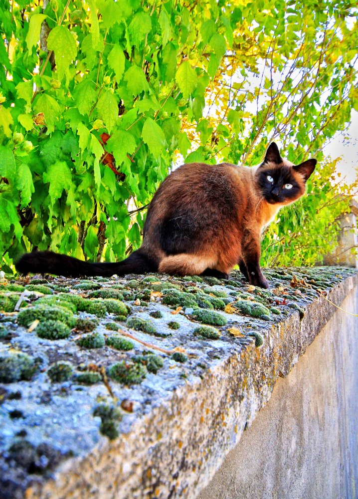 Quel regard !