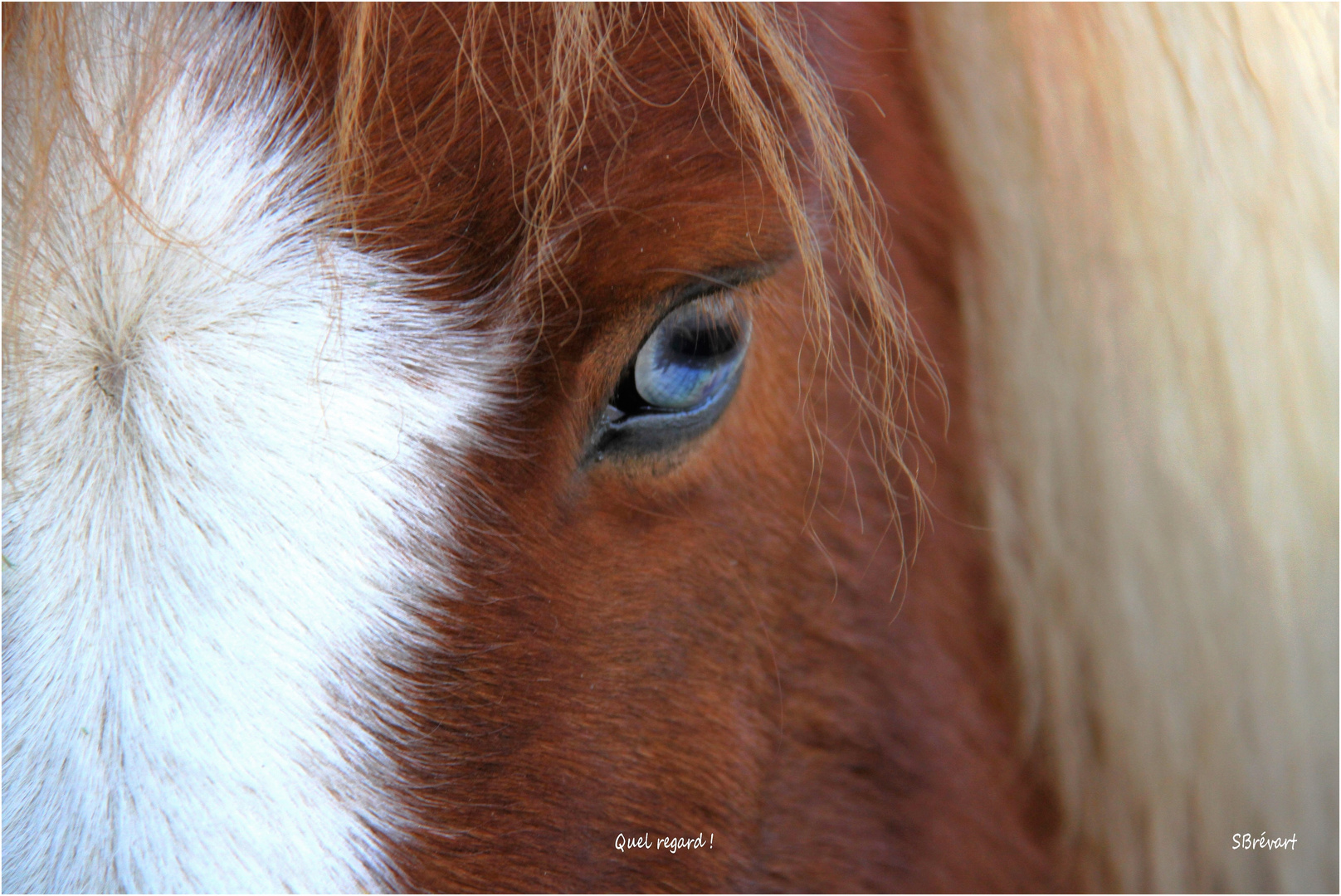 Quel regard !