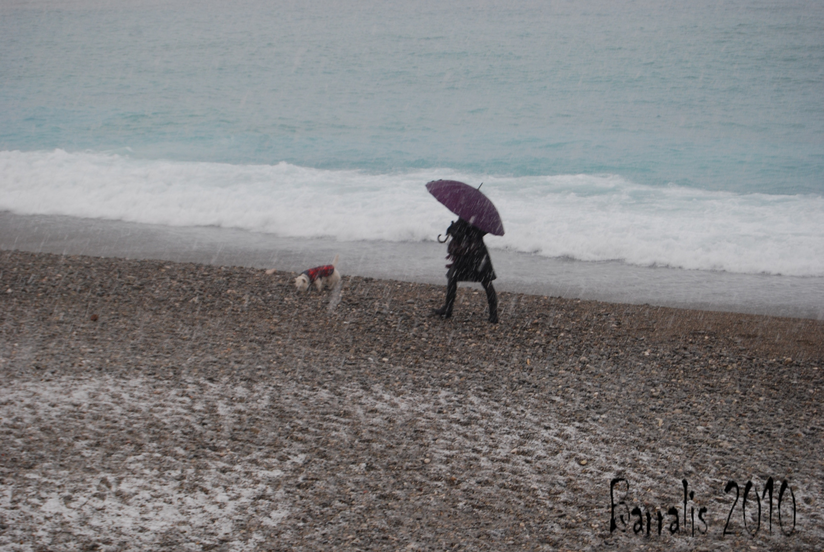 quel temps de chien