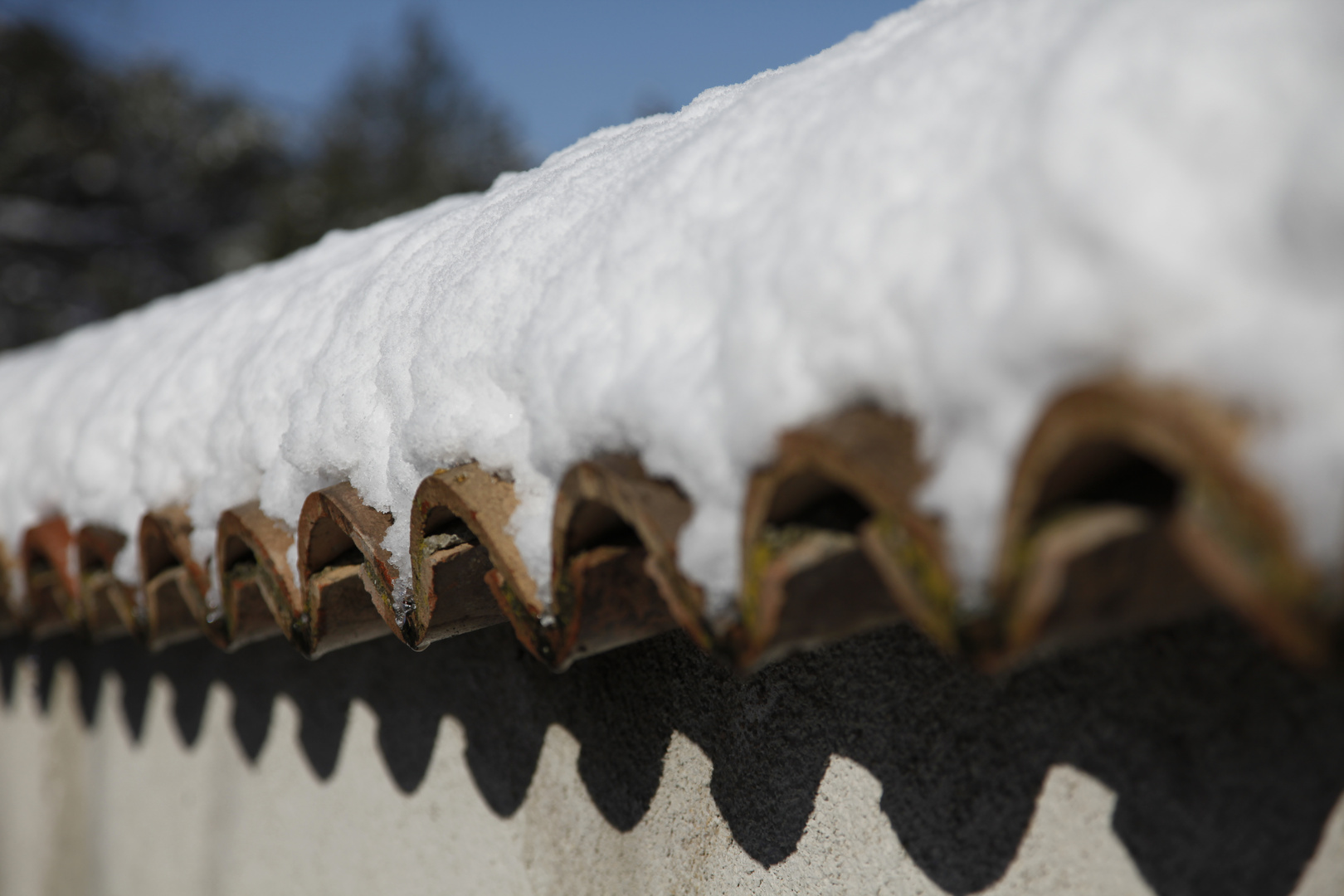 quel tuille cette neige sur la cote