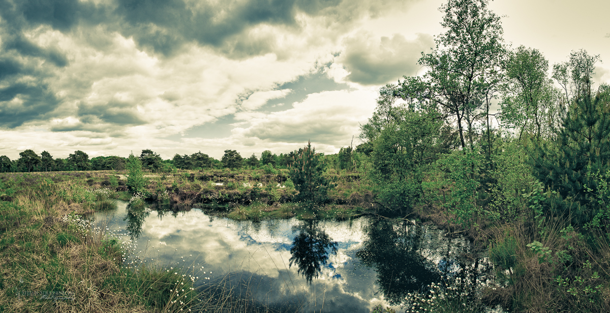 Quelkhorner Moor