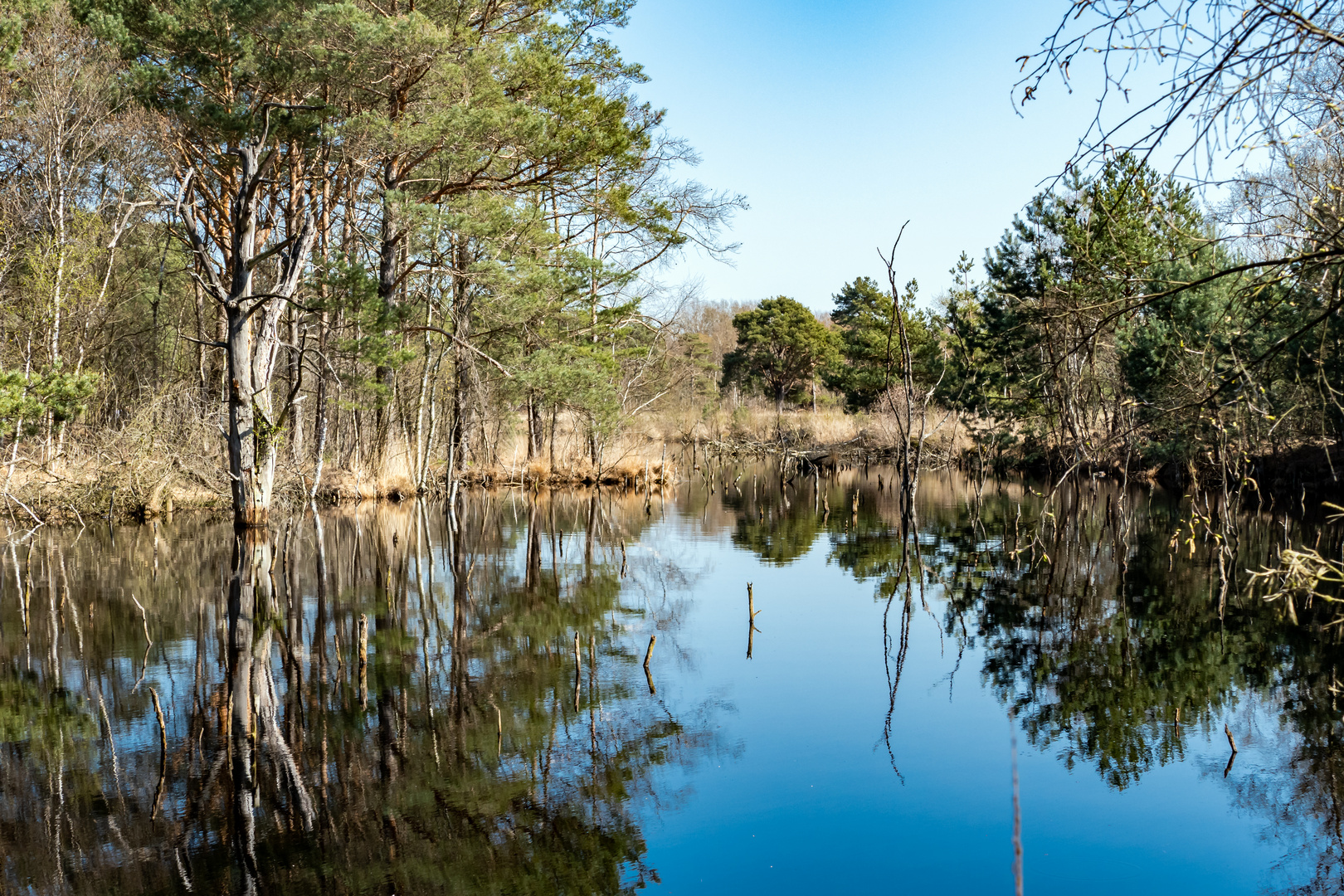 Quelkhorner Moor