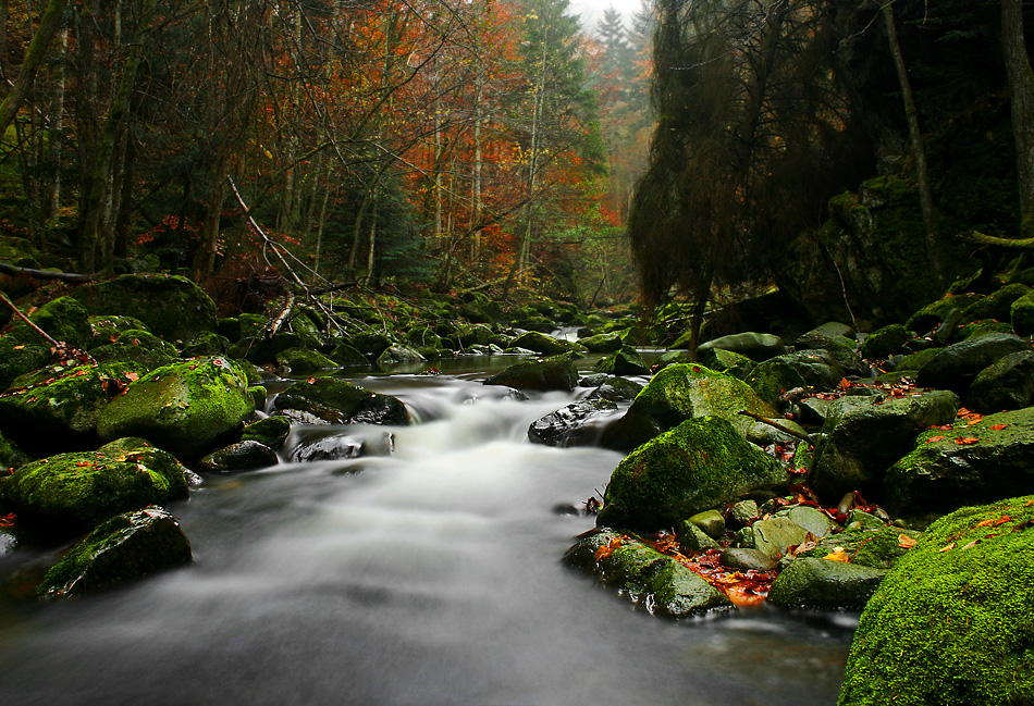 Quell des Lebens