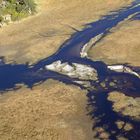 Quell des Lebens im Okavango Delta