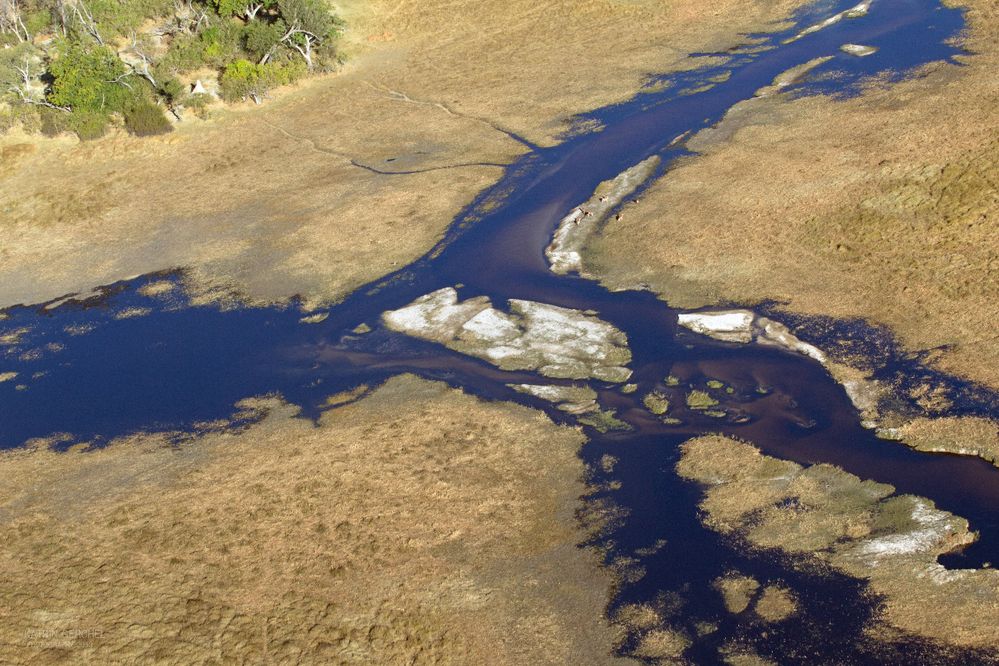 Quell des Lebens im Okavango Delta von Käthe12 