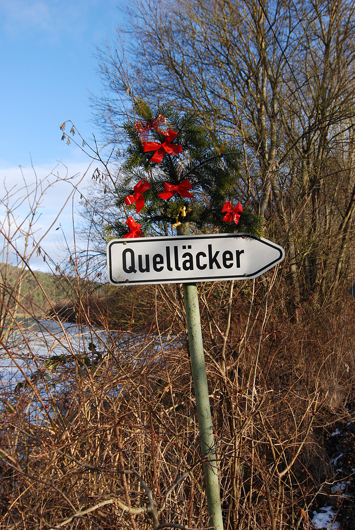 Quelläcker