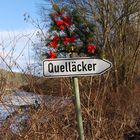 Quelläcker