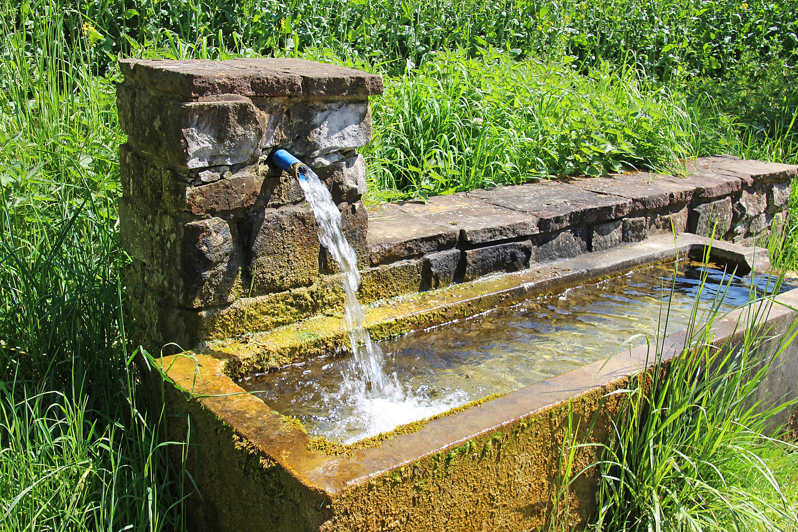 Quelle Foto & Bild | wasser quelle brunnen trinkwasser, natur Bilder ...
