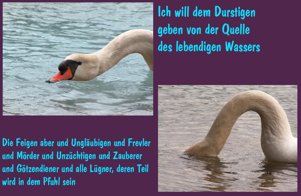 QUELLE DES LEBENDIGEN WASSERS... wer kennt den (die) Verse auf der Bildcollage?