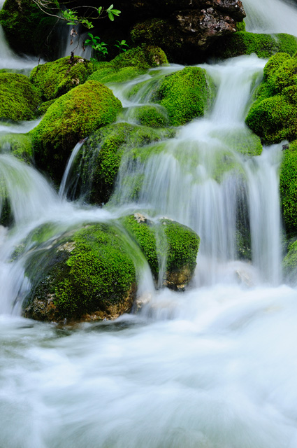 Quelle des Redtenbach by Bernhard Hinterreiter 