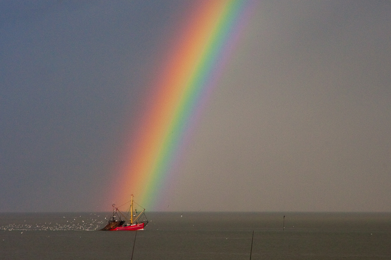 Quelle des Regenbogens?!