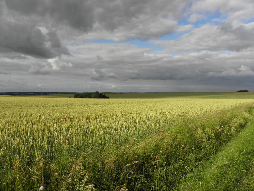 quelle est belle la campagne