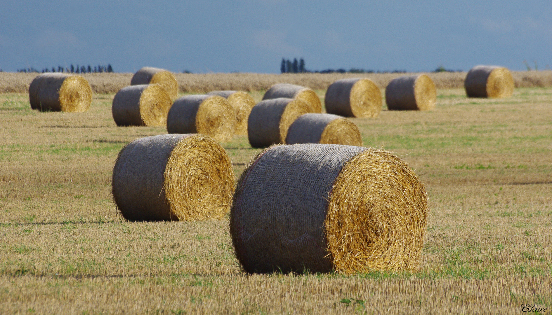 quelle est belle notre campagne normande