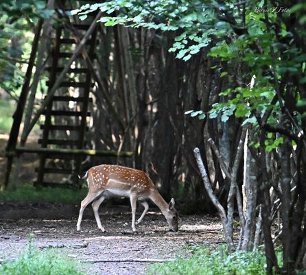 Quelle idée de manger devant un mirador !