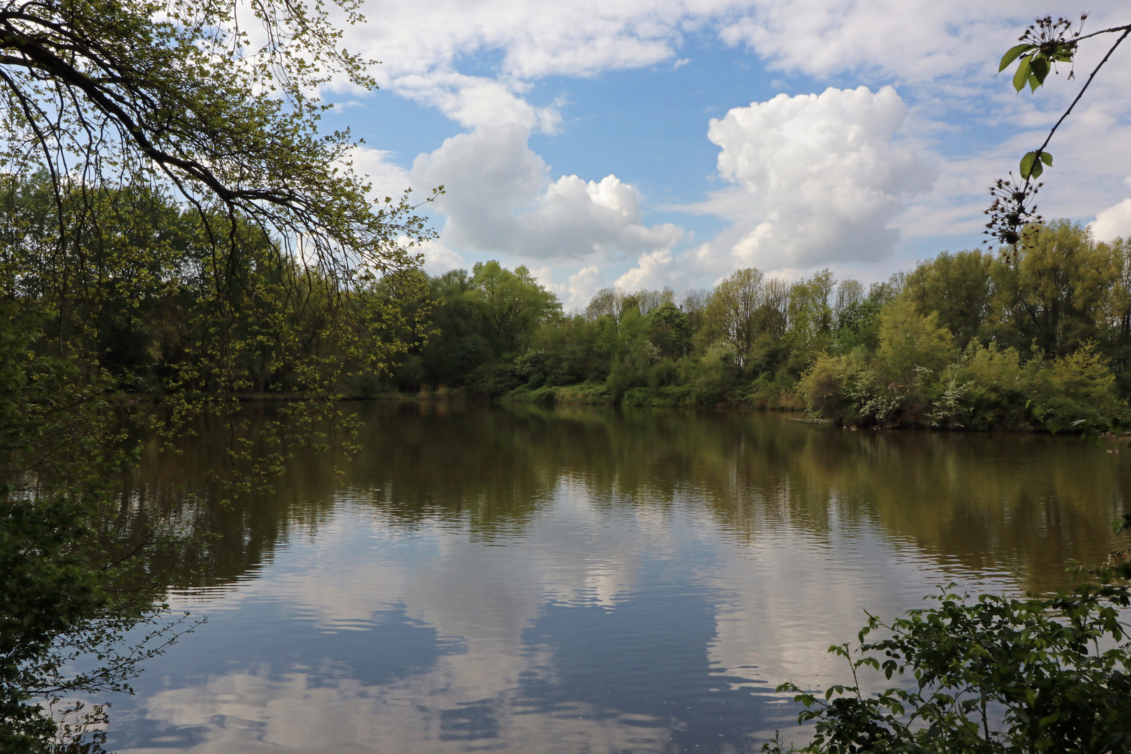 Quellende Wolken überm Teich