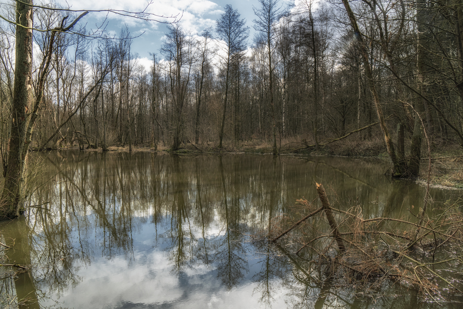 Quellsee Ellernhainbach