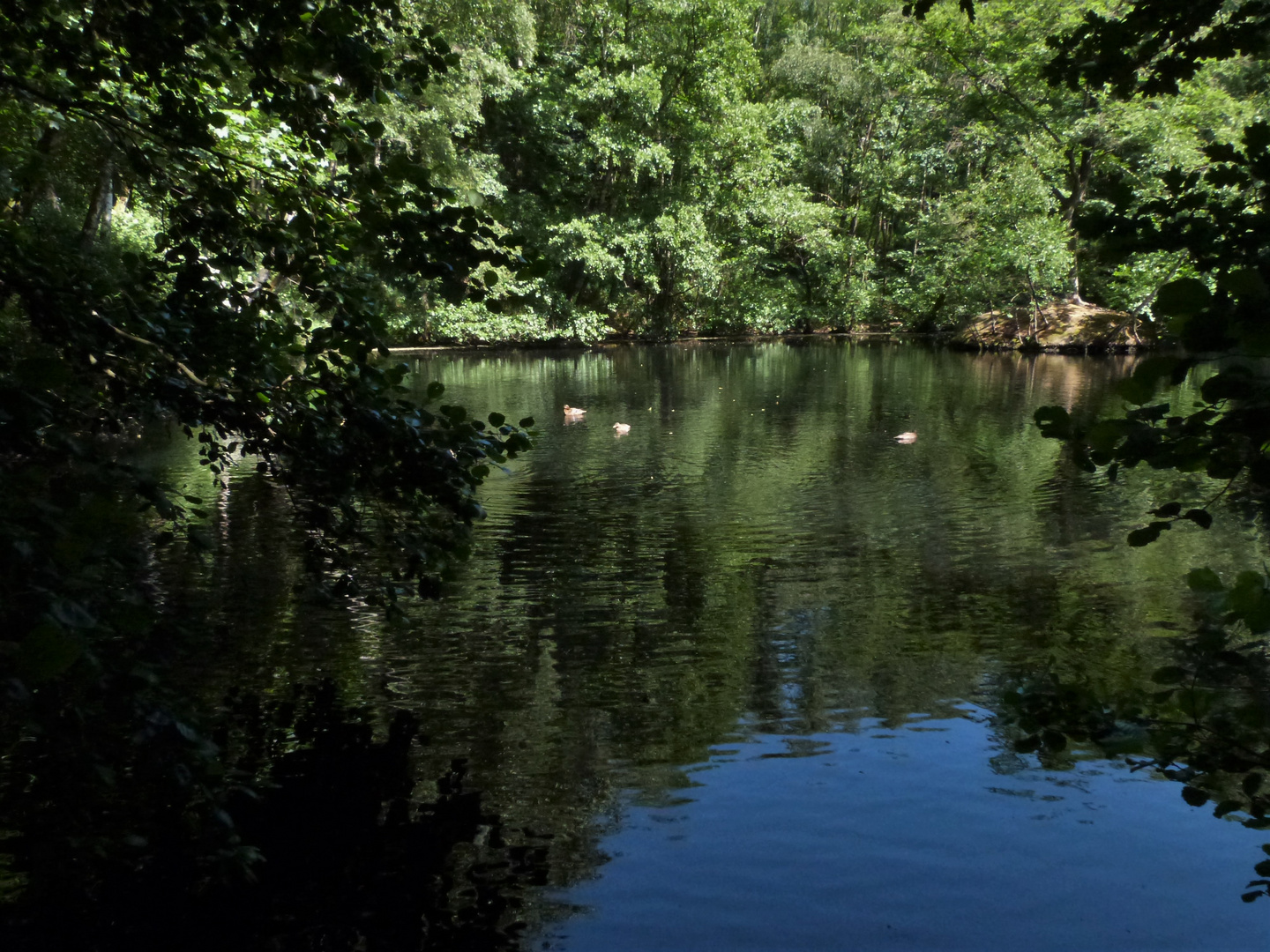 Quellteich der Drususquelle