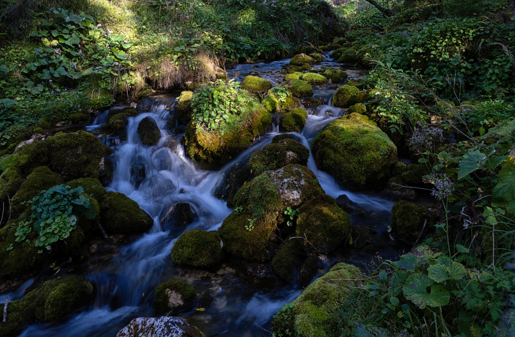 Quellwasser