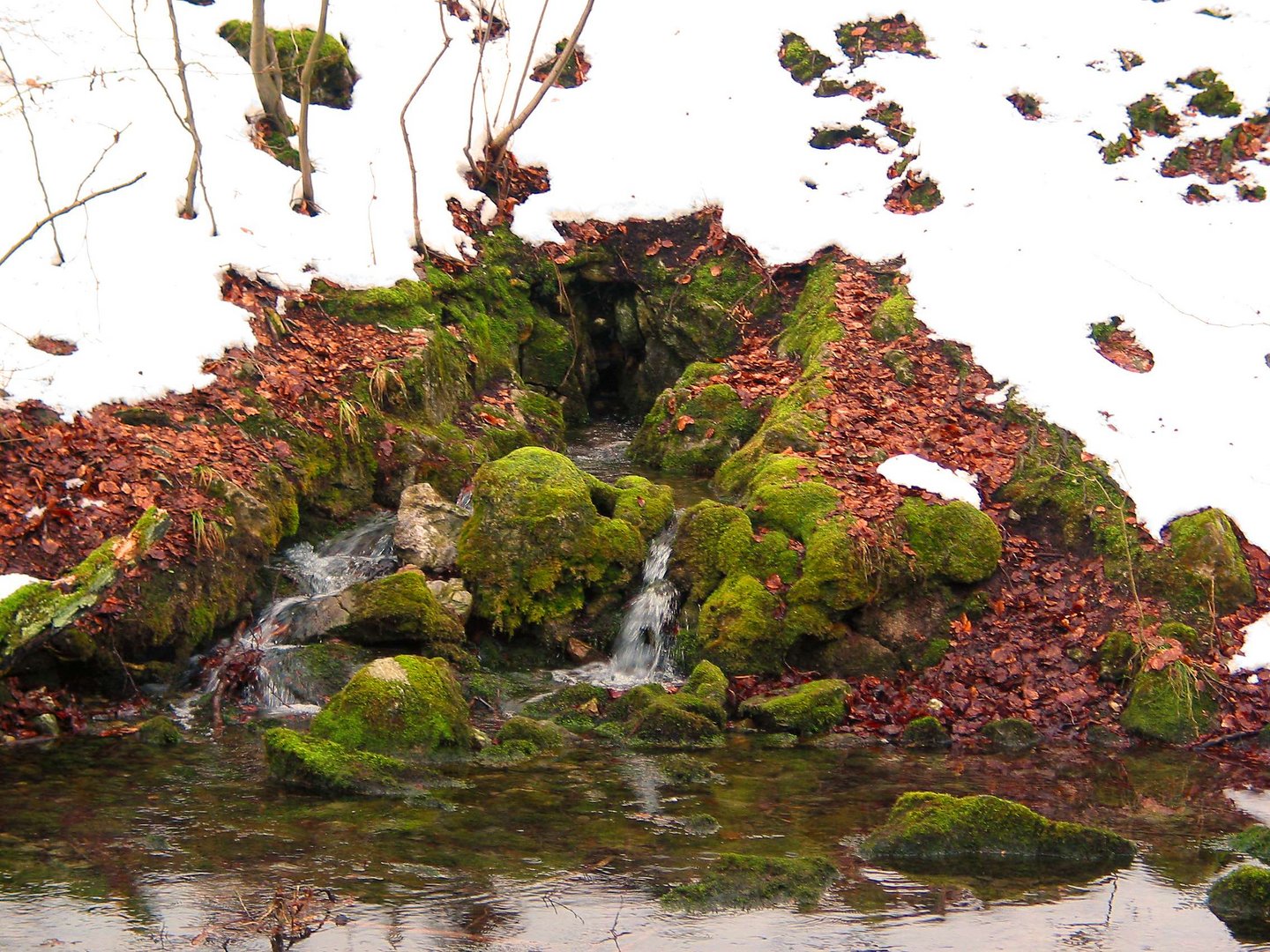 Quellwasser für die Alme