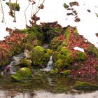 Quellwasser für die Alme