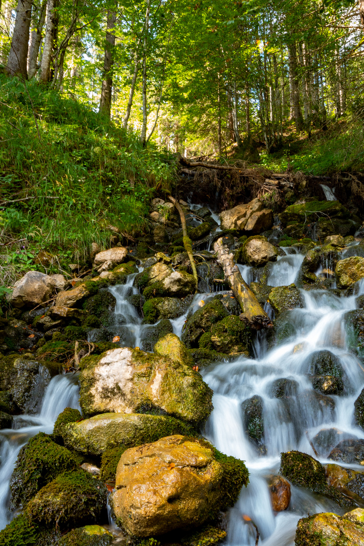 Quellwasser sucht seinen Weg